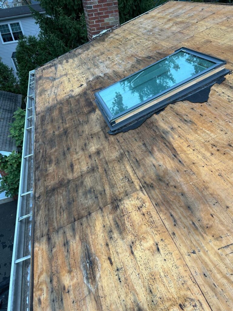 SKYLIGHT REPAIR REPLACMENT