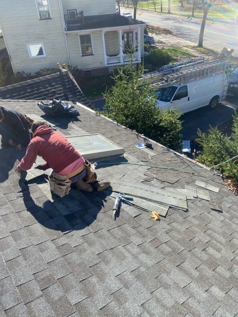 SKYLIGHT INSTALL & REPAIR